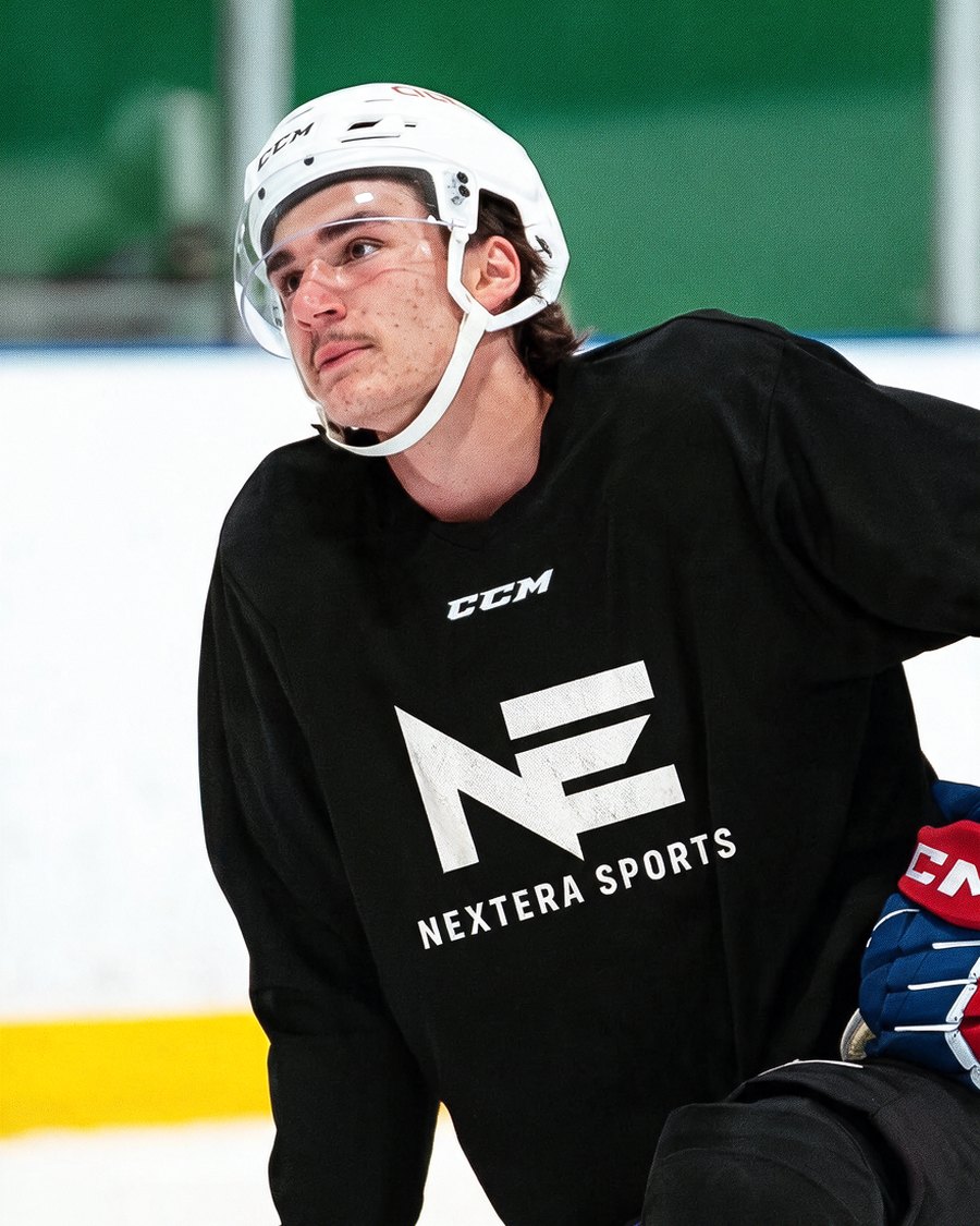 Tyler T., AHL